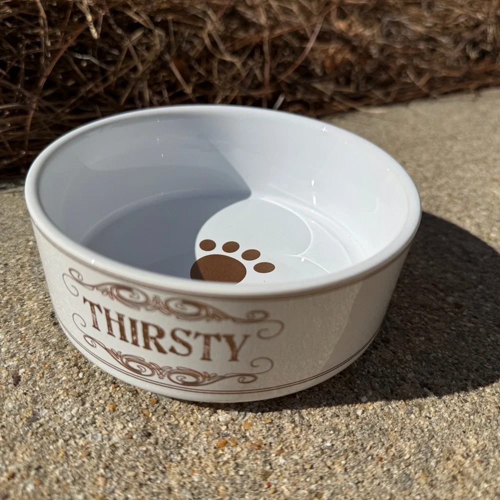 Pet Bundle - Bowls, Leash, Mat